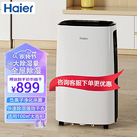 Haier 海尔 除湿机/抽湿机 除湿器 DE16J 负离子杀菌净化 16升