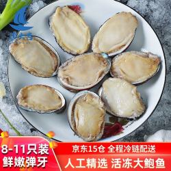 渔大吉 湛江冷冻九孔大鲍鱼 烧烤 煲汤 火锅 海鲜水产生鲜鲜活冷冻贝类 400g/包