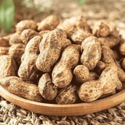 喵鲜君现挖鲜花生带壳生花生净重5斤大果
