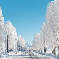 北疆地区滑雪地，可以滑到5月底！新疆可可托海的梦非遗度假酒店 泡池小院大床房4晚连住套餐（含双早+雪场咖啡通兑券4张+欢迎热饮等）