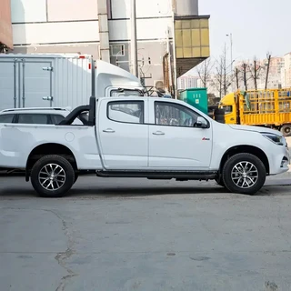 QINGLING MOTORS 庆铃汽车 达咖 20款 1.8T 手动 两驱 长轴 豪华版 汽油