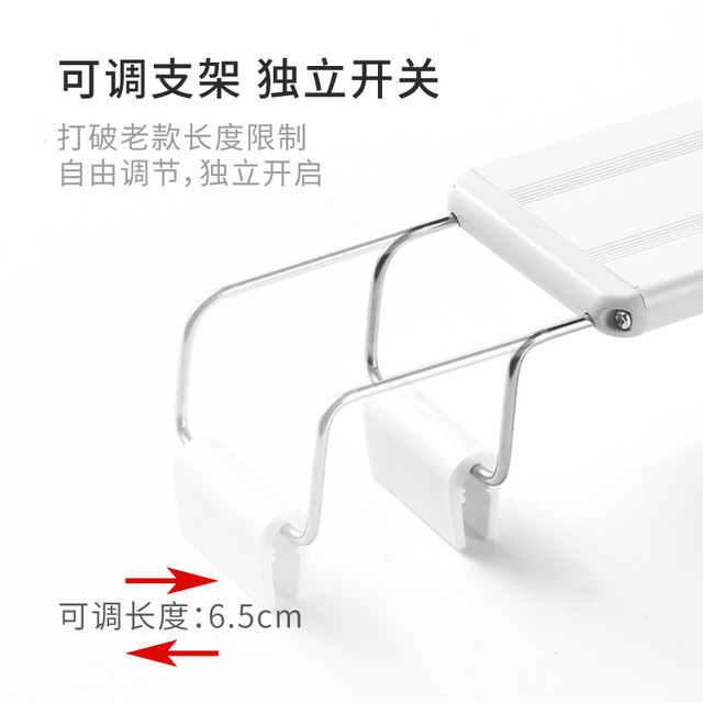 贝柚 LED鱼缸灯 蓝白光 5w