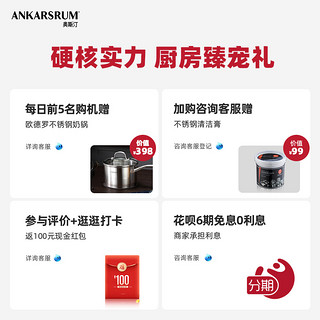 瑞典Ankarsrum 6230奥斯汀进口厨师机家用多功能小型揉面机和面机