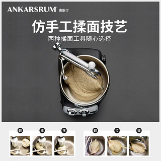 瑞典Ankarsrum 6230奥斯汀进口厨师机家用多功能小型揉面机和面机