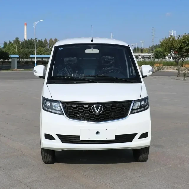 成功汽车 骆驼