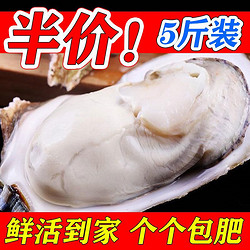 特大生蚝新鲜鲜活牡蛎海蛎子带壳烧烤食材一整箱海鲜批发