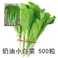 珂玮 蔬菜种子四季播种农家田园阳台种菜盆栽春季庭院葱菠菜香菜韭菜籽 奶油小白菜(原装500粒)