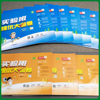  培优 小学教材同步测试卷