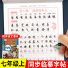 七年级上册字帖练字每日一练人教版语文同步字帖一课一练生字临摹练字帖写字课课练下人教部编版教材同步训练一课一练字帖书