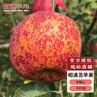 PLUS会员：昭通苹果 2023年新果云南丑苹果5斤（85mm左右） 冰糖心稀有水果礼盒整箱