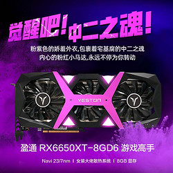 yeston 盈通 AMD盈通RX6500xt 独立显卡