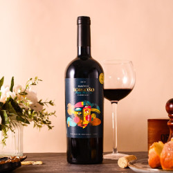 神车 空加瓜谷产区特级珍藏gran reserva佳美娜干红葡萄酒红酒750ml