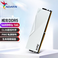 威刚(ADATA) XPG 威龙 LANCER DDR5内存条 台式机内存条 海力士A代颗粒 内存条 LANCER DDR5 5600 16G 白C36