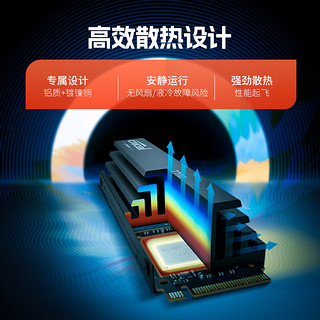 Crucial 英睿达 1TB SSD固态硬盘 M.2接口(NVMe协议)PCIe5.0读速11700MB/s Pro系列 T700马甲散热美光出品
