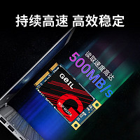 GeIL 金邦 1TB SSD固态硬盘 mSATA 台式机笔记本 高速500MB/S M3P系列