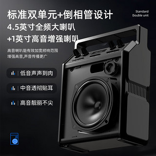 PHILIPS 飞利浦 SD50户外蓝牙音箱K歌音响广场舞唱歌