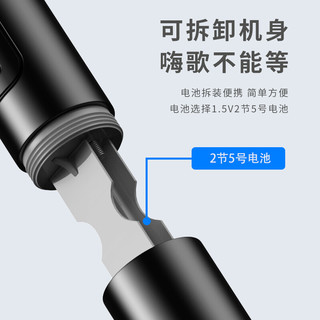 SOAIY 索爱 无线麦克风U段话筒家庭KTV唱歌演讲舞台K歌会议音箱音响功放电视车载电脑SA-WD8充电接收器