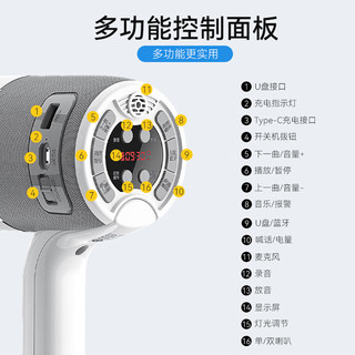 SOAIY 索爱 S808炫彩灯录音蓝牙大声公喇叭户外手持宣传可充电喊话扩音器便携式高音U盘摆地摊扬声小麦克风