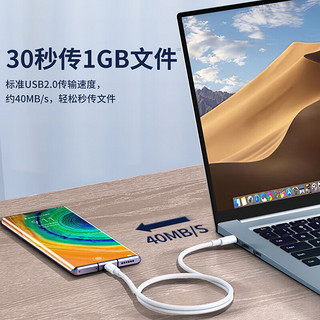 STIGER 斯泰克 Type-C数据线USB-C双头100W65W苹果15充电线快充c to c适用promax/mac/iPad小米华为Mate60笔记本