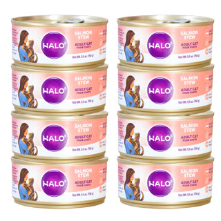 HALO 自然光环 美国原装进口猫罐头成猫主食罐猫零食 三文鱼味156g*12罐
