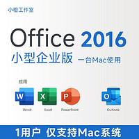 Microsoft 微软 苹果专用 微软Microsoft正版mac office2016永久激活码macbook软件