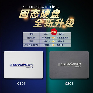 QUANXING 铨兴 SSD固态硬盘 2.5英寸SATA3.0接口 C201系列笔记本台式机升级 SATA C201系列 256G