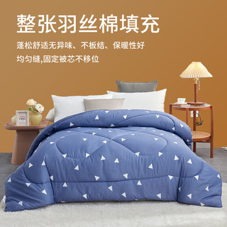 皮尔·卡丹 皮尔卡丹 纤维秋冬保暖空调被芯被子 约4斤150*200cm