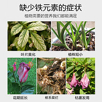 贝柚 硫酸亚铁花肥改善土壤酸性茶花栀子花肥料专用肥盆栽花卉绿植通用
