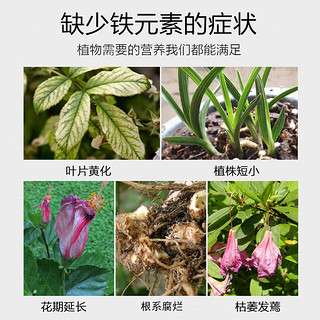 硫酸亚铁花肥改善土壤酸性茶花栀子花肥料专用肥盆栽花卉绿植通用