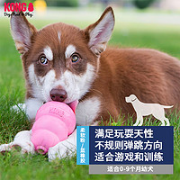 KONG幼犬葫芦漏食球耐咬小型犬宠物解自嗨闷益智慢食磨牙狗狗玩具