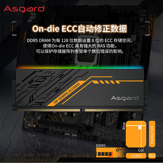 Asgard 阿斯加特 32GB(16Gx2)套装 DDR5 6800 台式机内存条 TUF RGB灯条 海力士A-die CL34