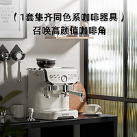 Stelang 雪特朗 AC-517E咖啡机 意式全半自动家用小型奶泡研磨一体