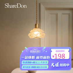 SHEDON 奢灯 铜小吊灯 床头卧室北欧创意过道简约现代 花朵小吊灯 MD23503