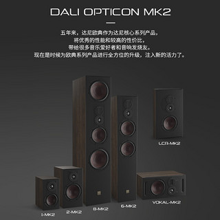 DALI达尼丹麦欧典OPTICON 6 MKII无源落地箱高保真音箱进口家用客厅家庭影院音响套装 达尼欧典6 MK2 黑色音箱 一对