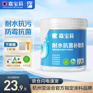 CARPOLY 嘉宝莉 补墙膏防霉耐水墙面修补膏大白腻子内墙翻新钉眼裂缝掉皮修复1kg