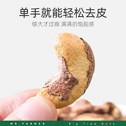 xinnongge 新农哥 大颗粒紫皮腰果 225g罐装 +15g袋装