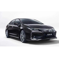 TOYOTA 一汽丰田 亚洲狮