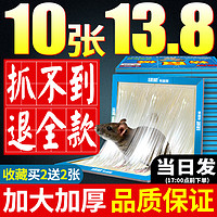 绿威 粘鼠板强力胶水粘大老鼠捉抓灭捕超加厚加大驱沾鼠神器家用一窝端