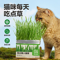 YANXUAN 网易严选 猫草无土盆栽 25g*3包