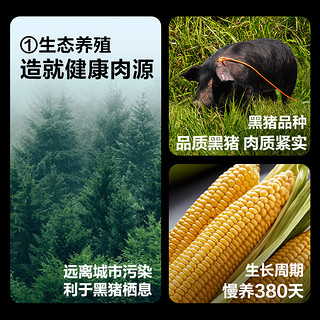 网易严选烤肠黑猪肉香肠火山石儿童烤肠无添加肉肠纯肉烤肠热狗肠