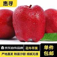 惠寻京东自有品牌 甘肃天水花牛蛇苹果 新鲜当季时令红粉面水果 5斤 70-75mm