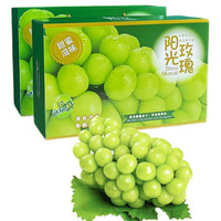 X-PLUS阳光玫瑰葡萄 晴王香印提子 新鲜水果礼盒 净重 4.5-5斤礼盒装 2-3串