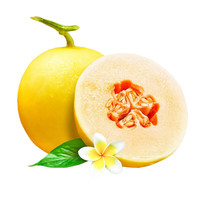 静益乐源甘肃民勤黄金蜜瓜 黄皮黄肉 新鲜应季水果 净重4-5斤中大果