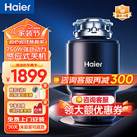 Haier 海尔 厨房垃圾处理器 家用大功率隔音降噪家用厨余食物粉碎机碎渣机 至尊款LD750-E1