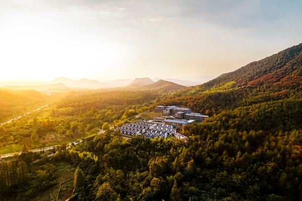  开春去看漫山白茶园！安吉英迪格酒店 森林景观双床房 2晚连住（含双早+旅拍+欢迎水果+小食+迷你吧）