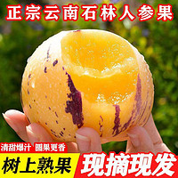 水果 云南石林人参果3斤大果单果80克黄心黄肉新鲜水果清甜