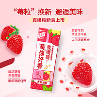 MENGNIU 蒙牛 真果粒蓝莓/椰果/草莓/芦荟牛奶饮品250g*12包