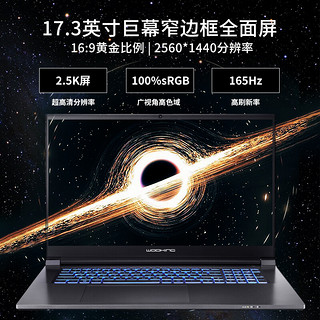 吾空（WOOKING） K7 17.3英寸游戏本12代英特尔酷睿i9 RTX3050Ti独显笔记本电脑 i9-12900H/3060/16G/512G