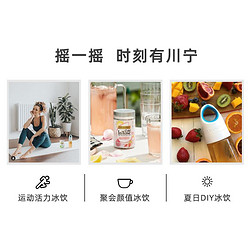 TWININGS 川宁 冰摇莓莓茶 冷泡茶水果茶 12包