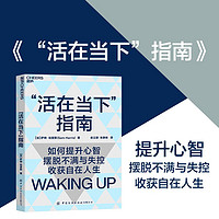 活在当下指南：带你提升心智 摆脱不满与失控 活得自在且清醒 成功励志 湛庐图书